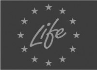 life-logo_sw